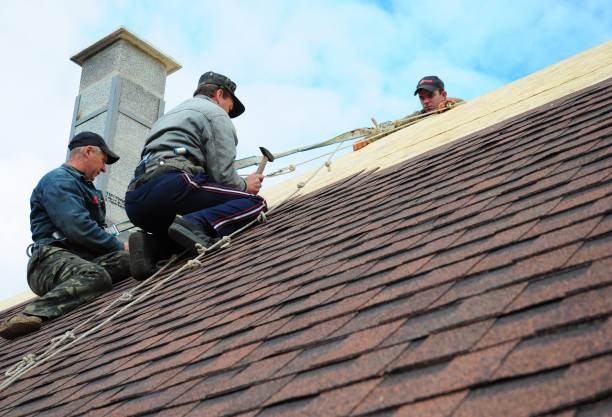 Best Commercial Roofing Services  in Fort Dodge, IA